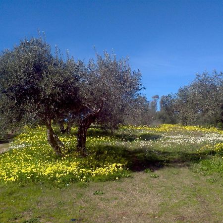 Siamaggiore Su Livariu מראה חיצוני תמונה